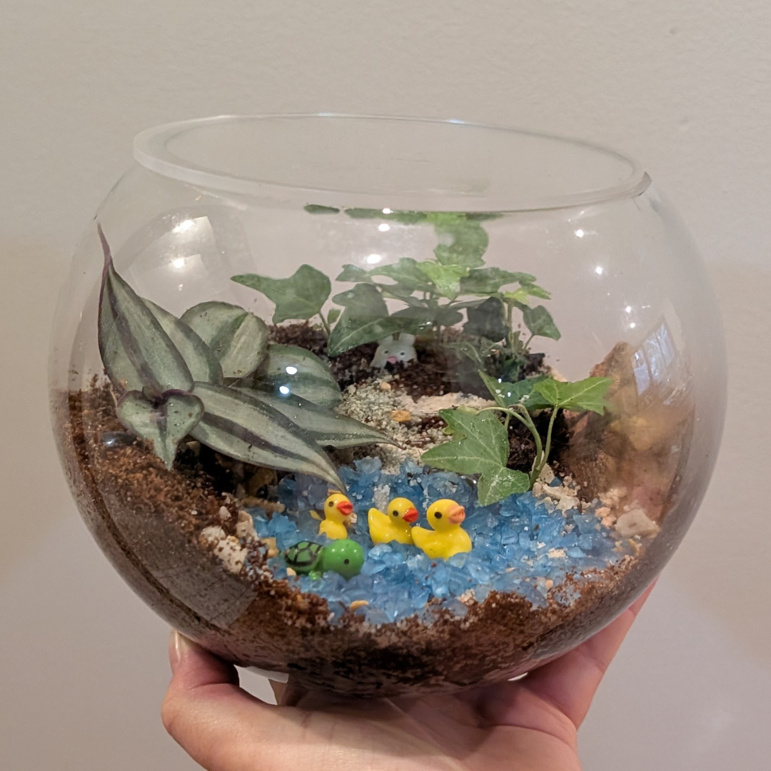 Terrarium Lid | Clear Acrylic Circle Blank | Maker Supplies Adelaide