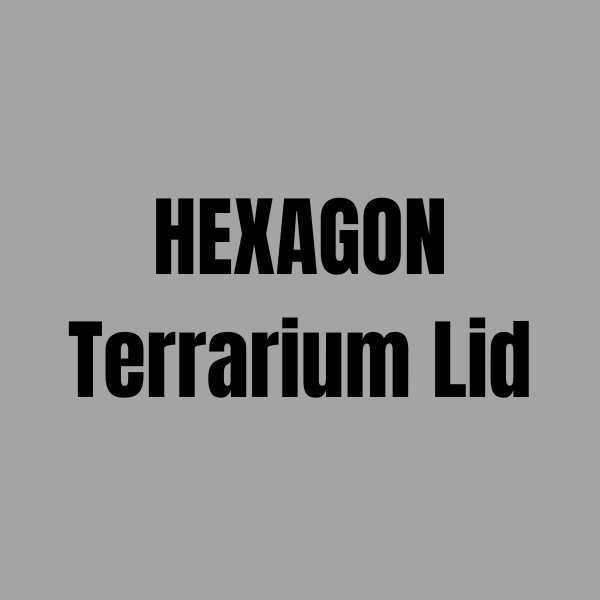 Terrarium Lid | Hexagon