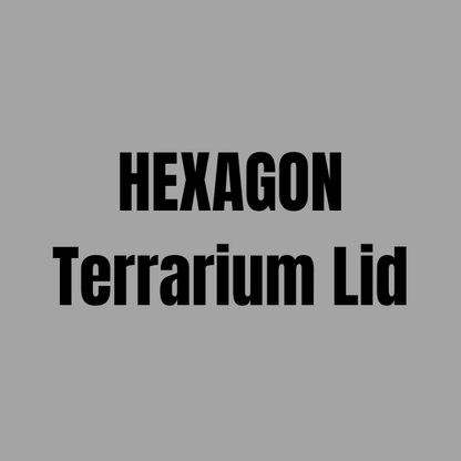 Terrarium Lid | Hexagon