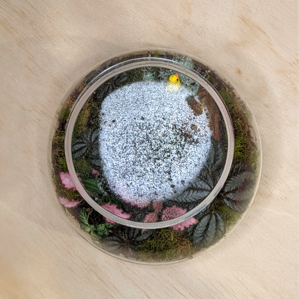 Terrarium Lid | Round