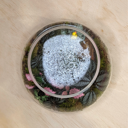 Terrarium Lid | Round